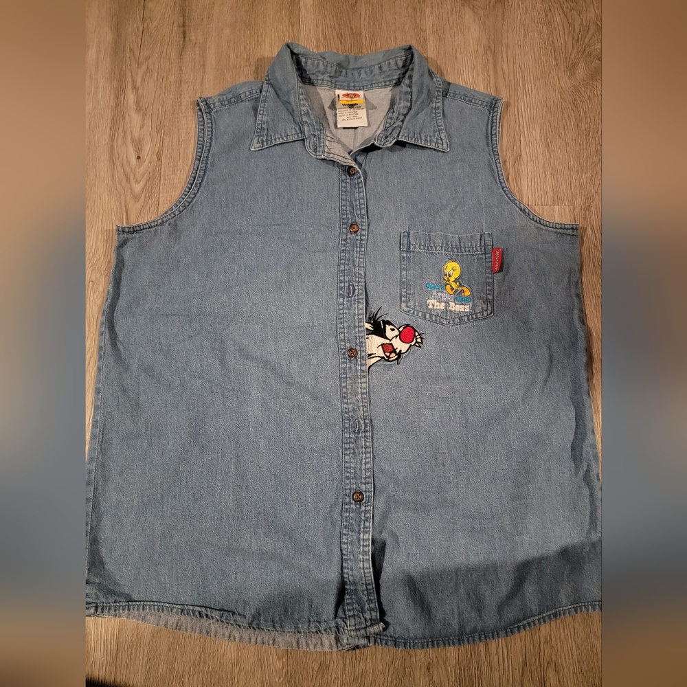 Warner Bros. Blue Denim Button Down Shirt